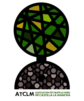 LOGO-CON-TEXTO-BORDE